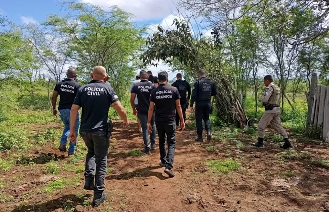 Imagem ilustrativa da imagem 