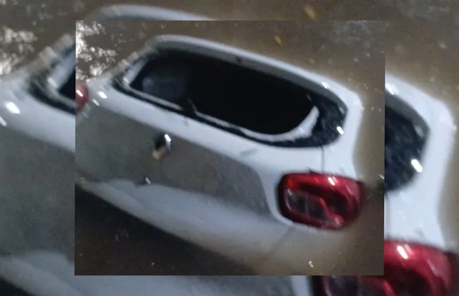 Imagem ilustrativa da imagem 