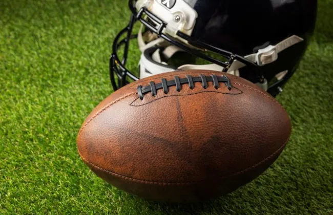 Imagem ilustrativa da imagem 