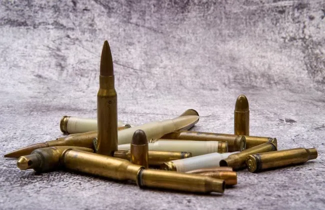 Imagem ilustrativa da imagem 