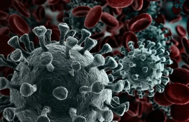 Imagem ilustrativa da imagem 