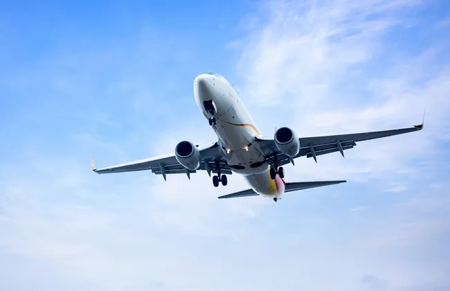 Imagem ilustrativa da imagem 