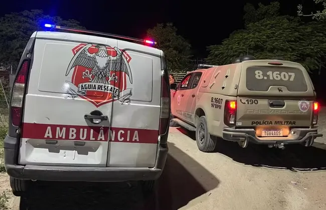 Imagem ilustrativa da imagem 