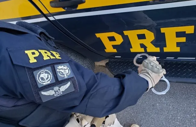 Imagem ilustrativa da imagem 