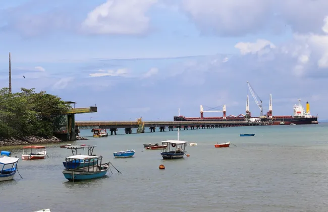 Imagem ilustrativa da imagem 