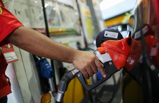 Imagem ilustrativa da imagem 