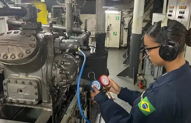 Imagem ilustrativa da imagem 