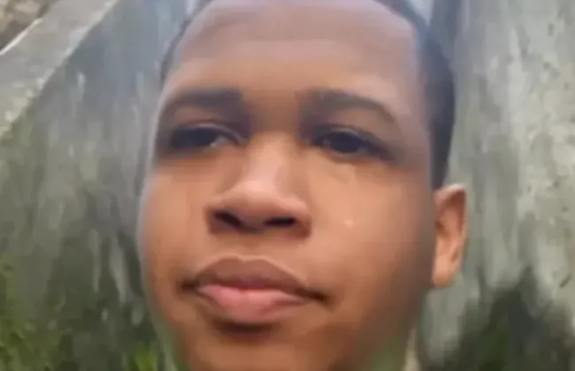 Imagem ilustrativa da imagem 