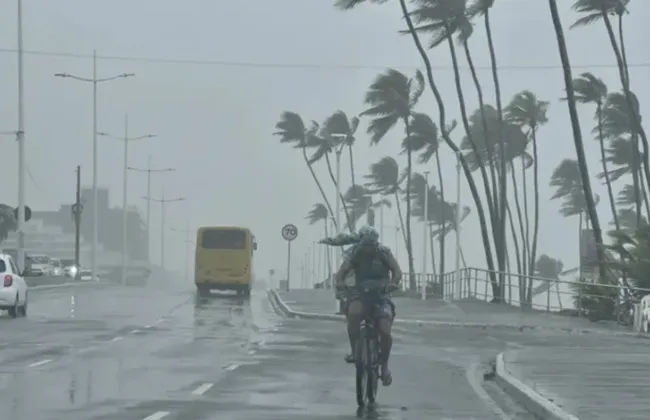 Imagem ilustrativa da imagem 