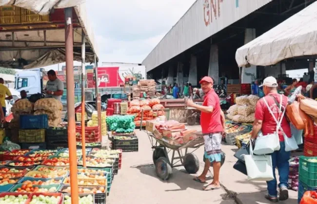 Imagem ilustrativa da imagem 