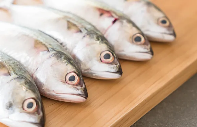 Imagem ilustrativa da imagem 