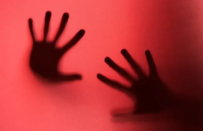 Imagem ilustrativa da imagem 