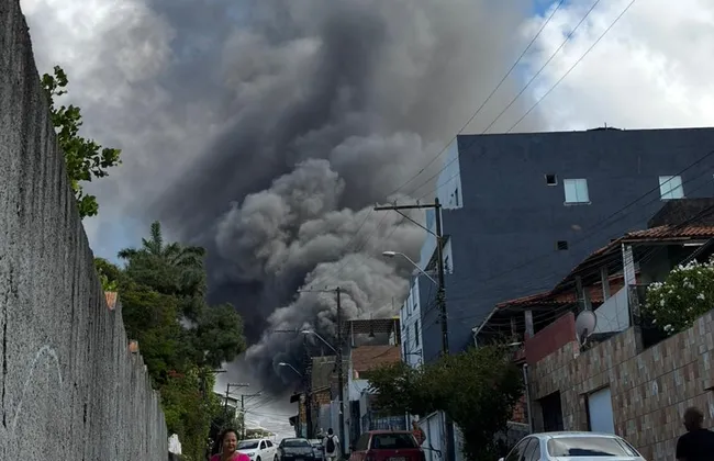 Imagem ilustrativa da imagem 