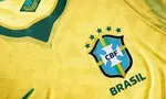 Imagem ilustrativa da imagem 