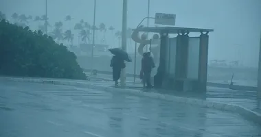 Imagem ilustrativa da imagem Chuva em Salvador: Defesa Civil emite alerta após mais de 50 ocorrências