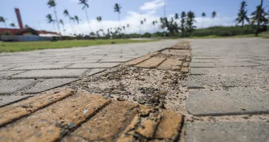 Imagem ilustrativa da imagem Pedir ajuda começa na calçada: a acessibilidade nas DEAMs de Salvador
