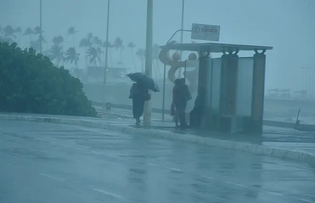 Imagem ilustrativa da imagem Chuva em Salvador: Defesa Civil emite alerta após mais de 50 ocorrências