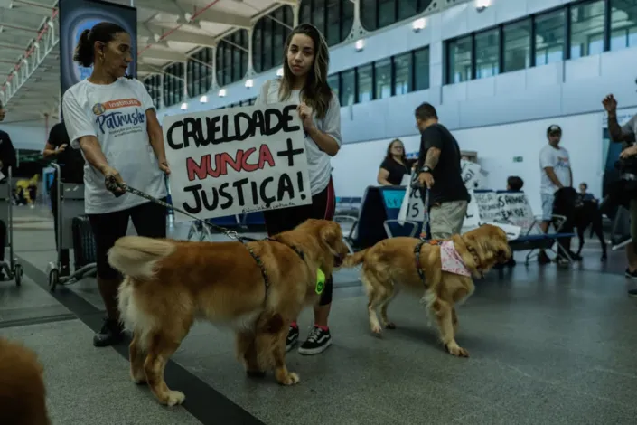 Tutores de animais de Salvador protestam após morte do cão Joca