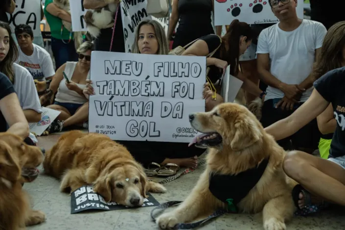 Tutores de animais de Salvador protestam após morte do cão Joca