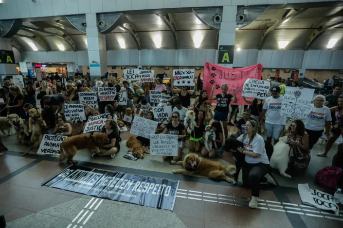 Tutores de animais de Salvador protestam após morte do cão Joca