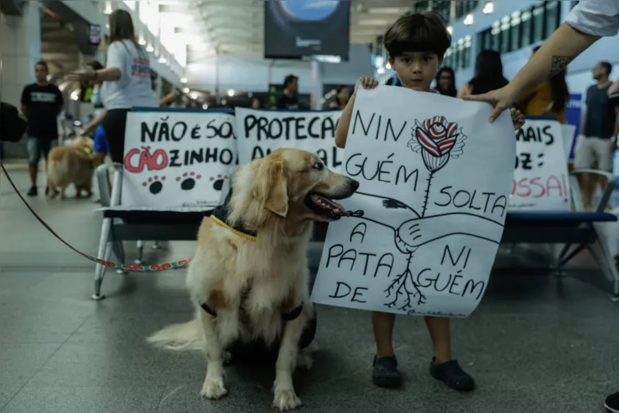 Tutores de animais de Salvador protestam após morte do cão Joca