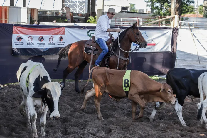 Pastor Isidório ‘joga duro’ e ganha de Secretário Tum no Ranch Sorting