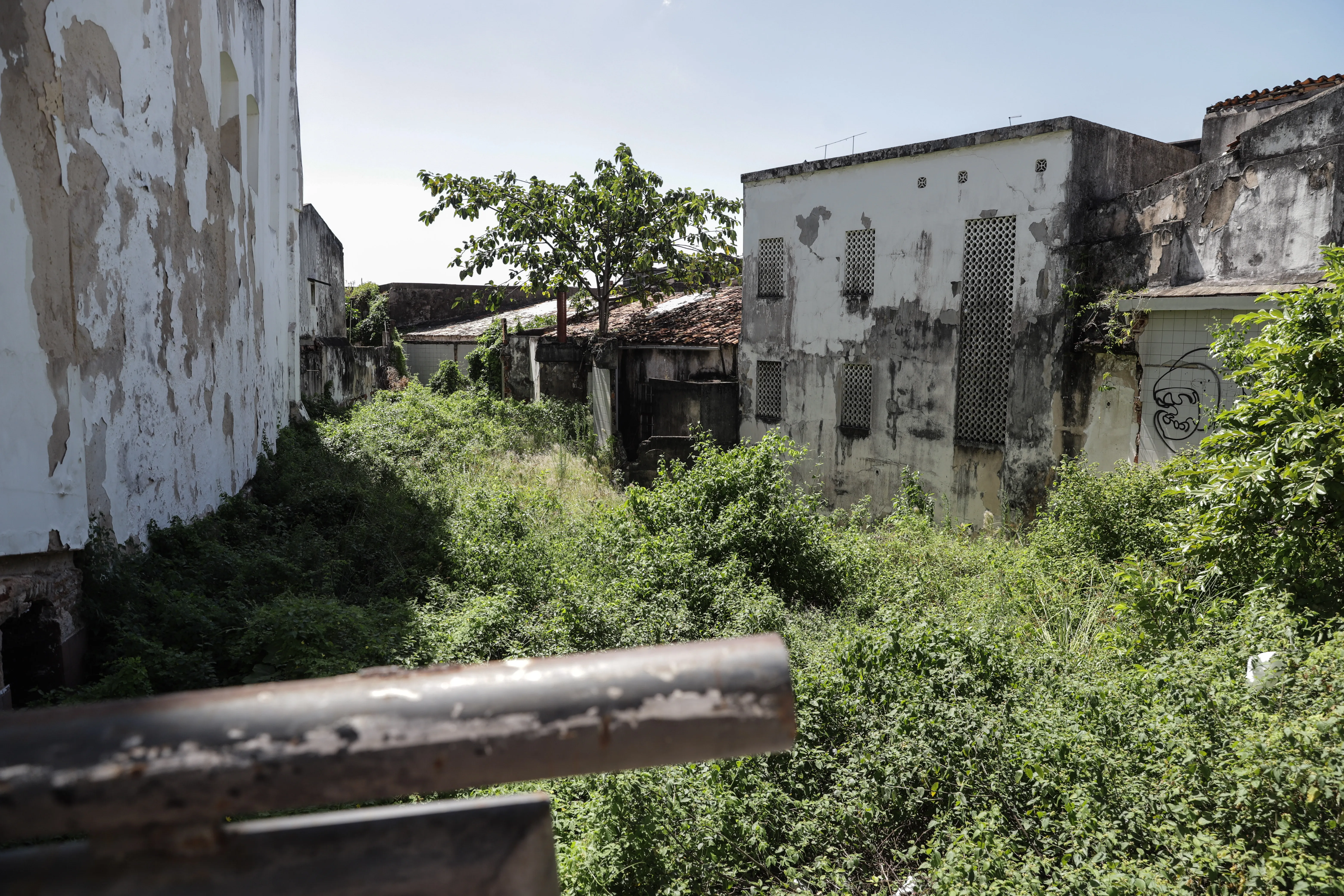 Praça do Reggae está abandona e cheia de mato