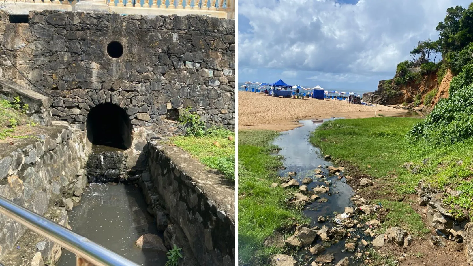 Esgoto e lixo tem atraído insetos e roedores para a praia