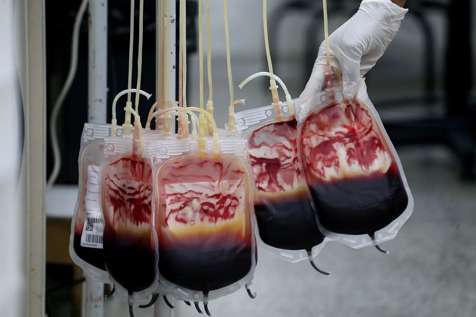 Imagem ilustrativa da imagem Cantora incentiva doação de sangue no Carnaval em Campanha da Hemoba