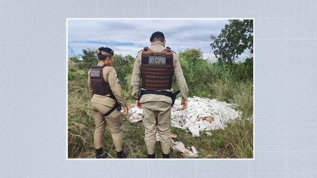 Suspeita de feminicídio corpo da vítima é encontrado em terreno baldio