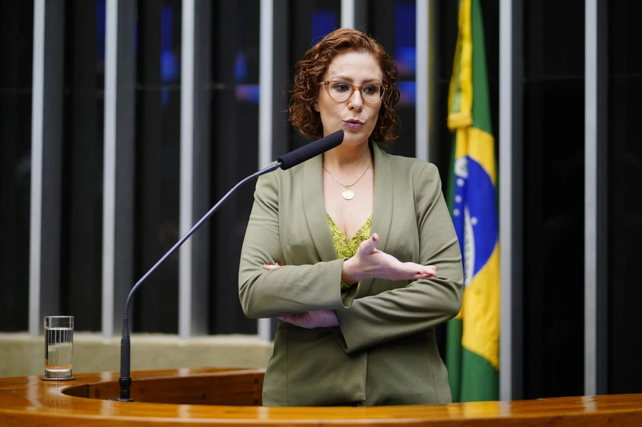 Carla Zambelli dispensa apresentações