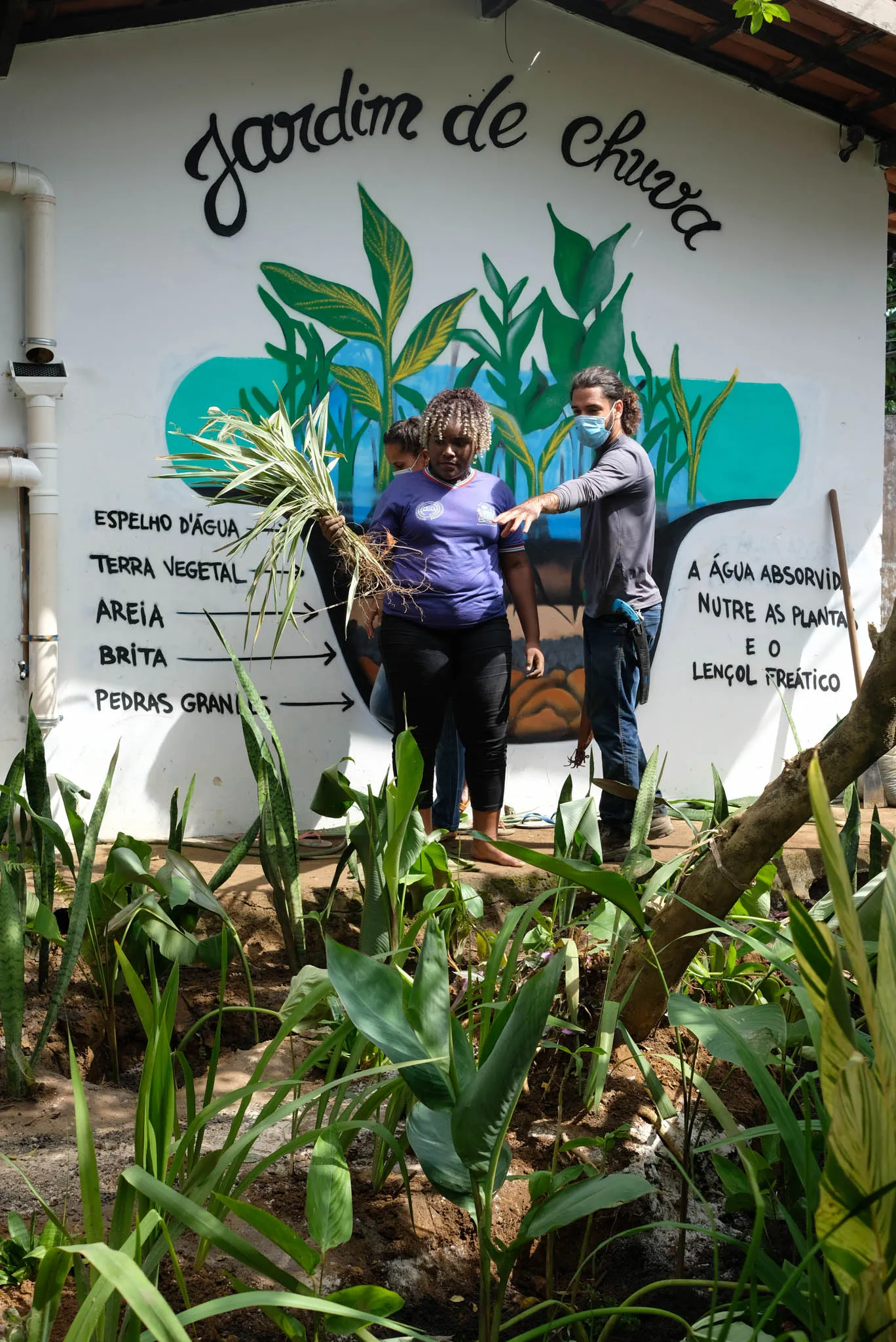 Imagem ilustrativa da imagem Campanha realiza financiamento para construção de jardins de chuva