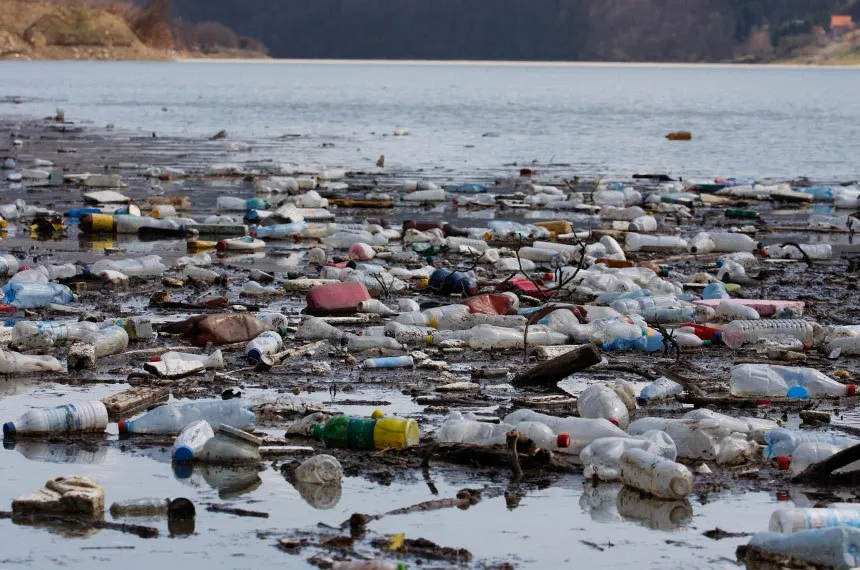 Produtos incluídos representam 70% dos resíduos despejados no mar e nas praias