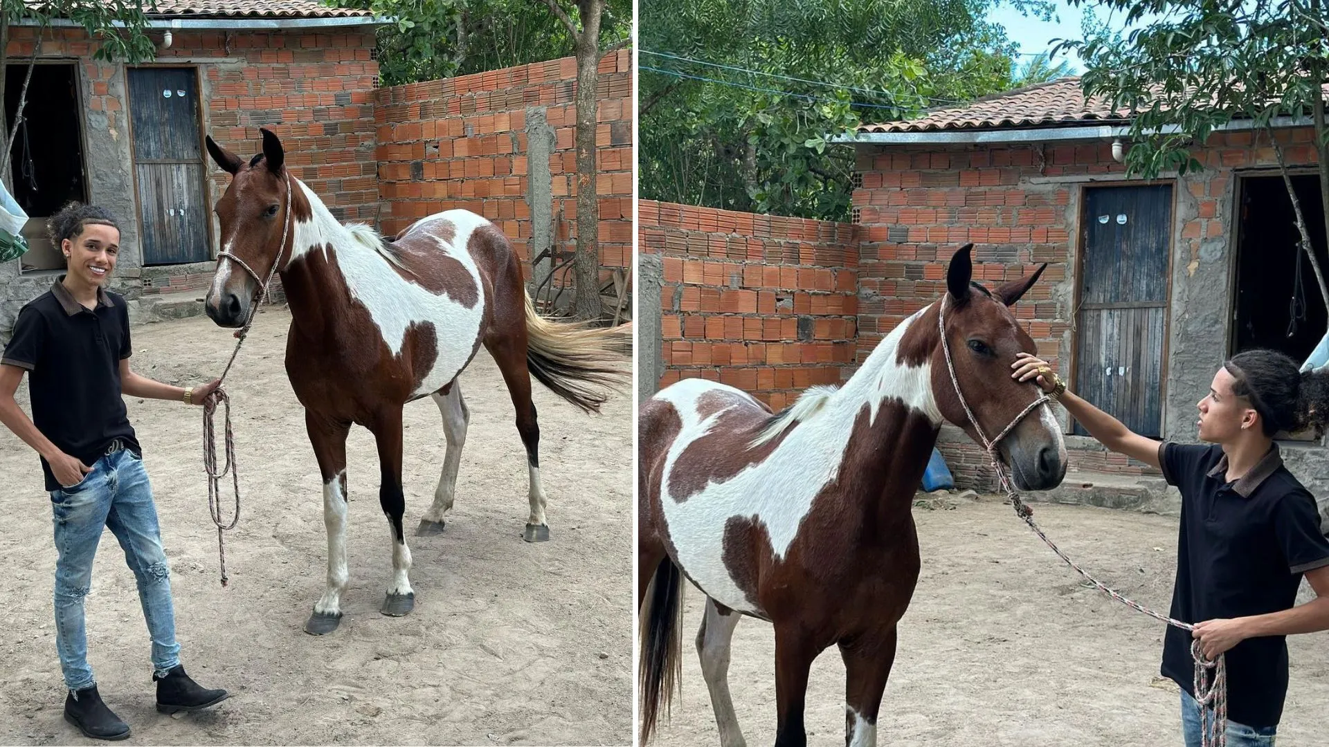 Theuzinho batizou a égua como "Desejo"