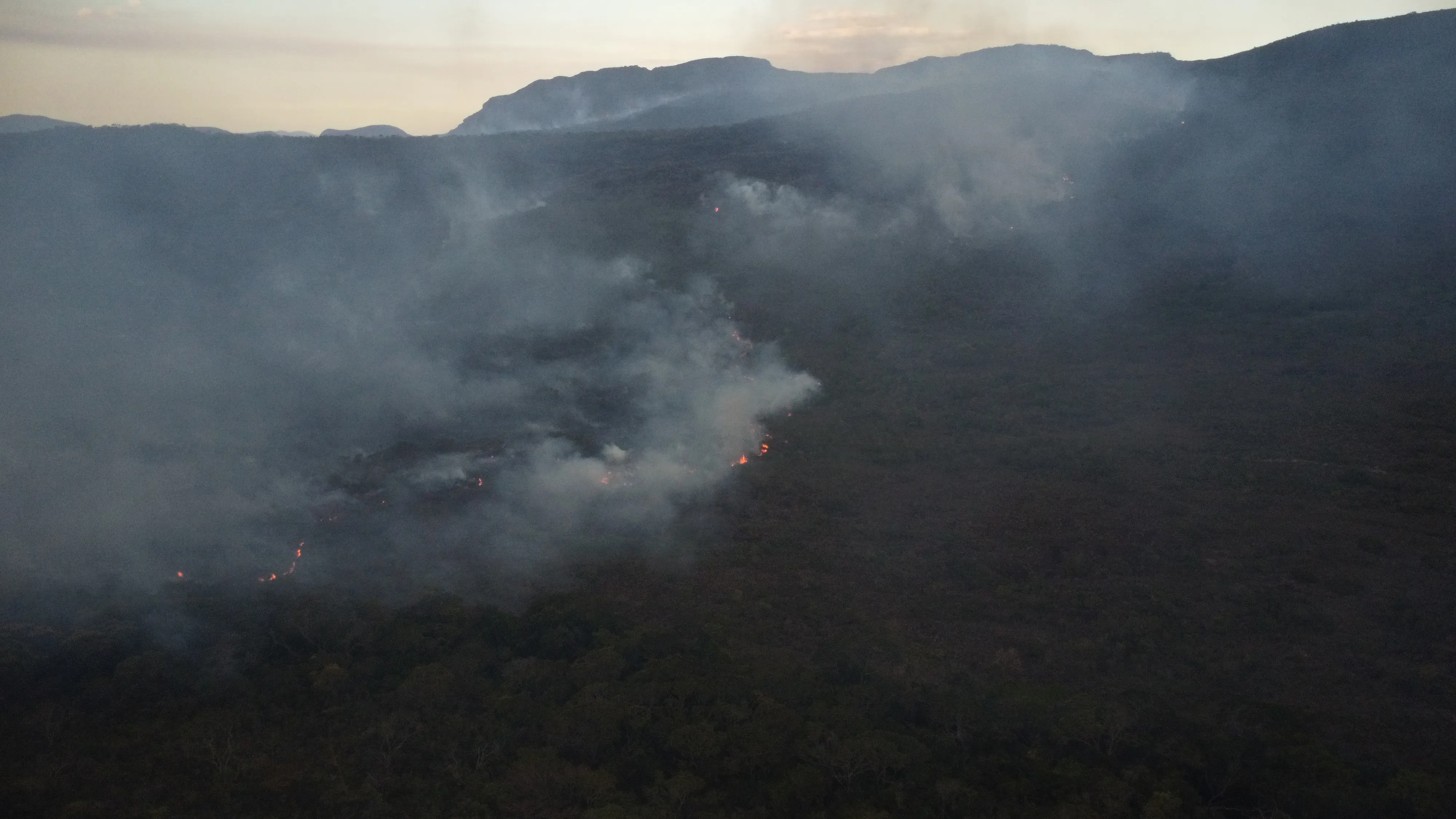 Imagem ilustrativa da imagem Incêndio toma conta de mata em localidade de cidade baiana