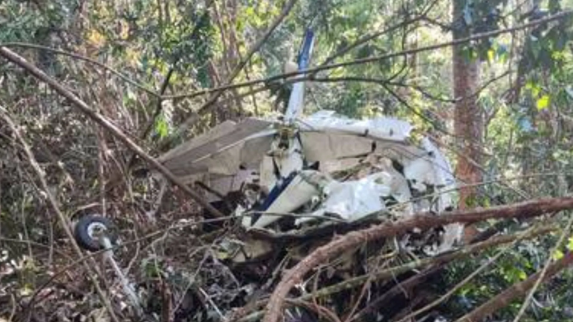 Os destroços do avião foram encontrados no domingo (30)