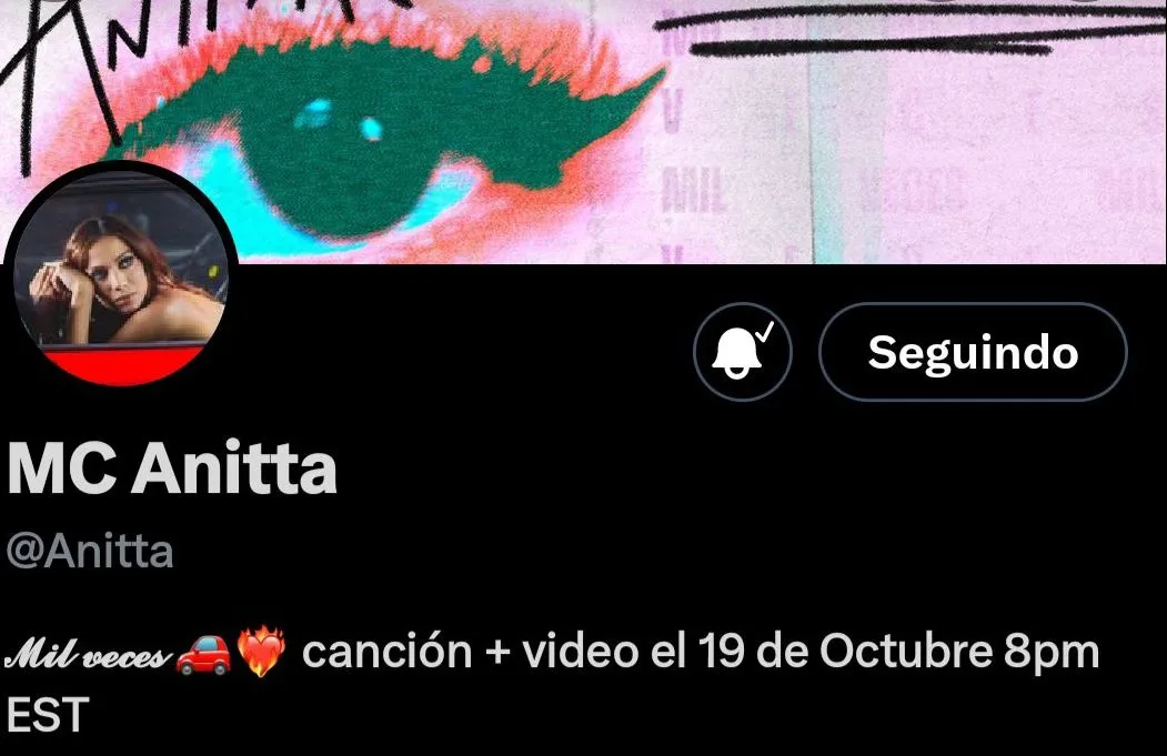 Imagem ilustrativa da imagem Retorno da MC Anitta? Cantora volta a usar nome artístico e fãs piram