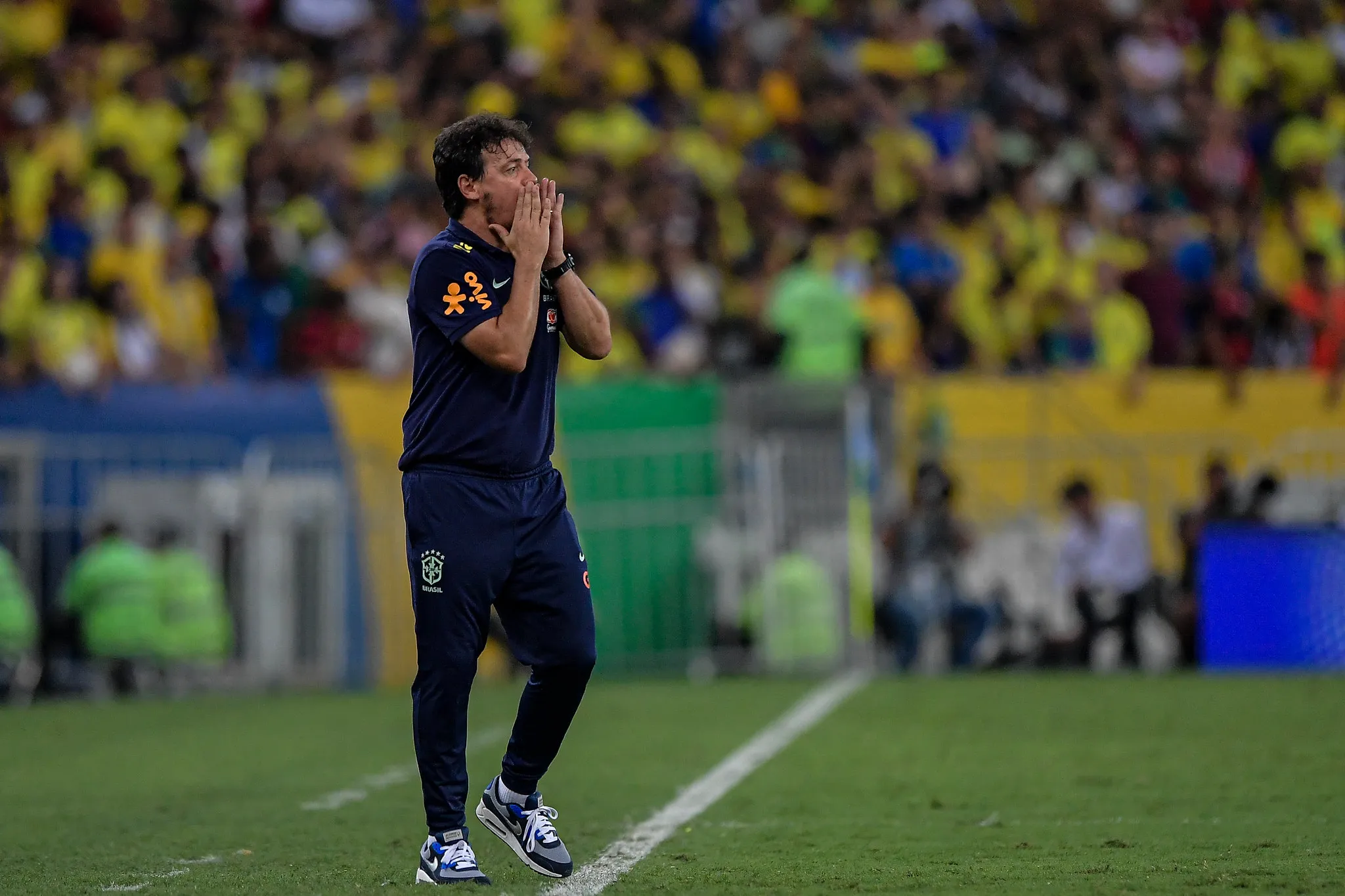 Fernando Diniz acumula três derrotas seguidas no comando do Brasil