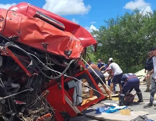 Imagem ilustrativa da imagem Bagaceira entre carreta e ônibus deixa um morto na BR-116