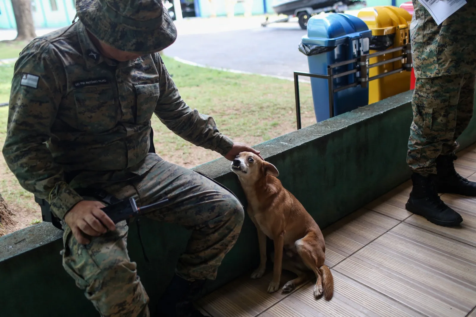 Dentinho ganha carinho de todos que convivem com ele