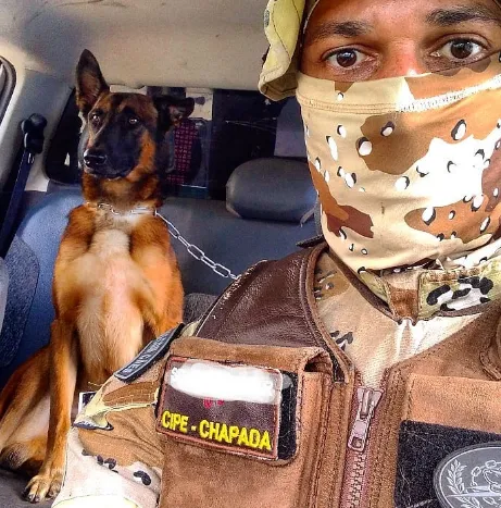Imagem ilustrativa da imagem Conheça 'Loke', cão policial que ajuda a combater o tráfico de drogas