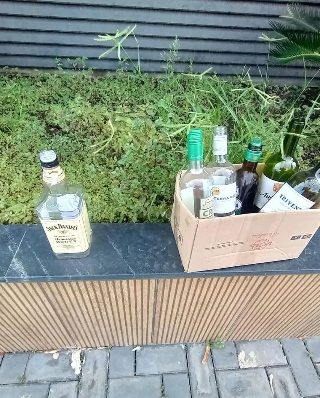 Galera comeu água com bebidas destiladas