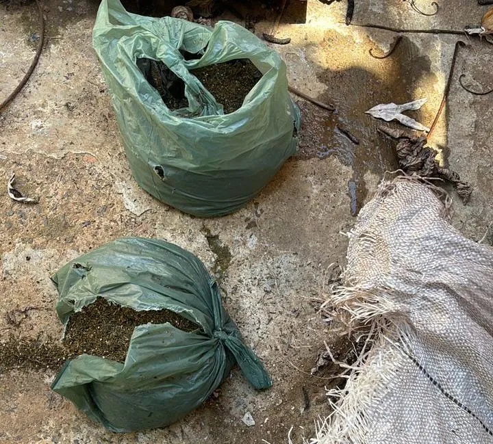 Drogas foram encontradas em uma casa abandonada na região