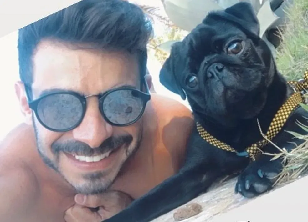 o dentista virou tutor de um cachorro, batizado de Hashi, em 2019