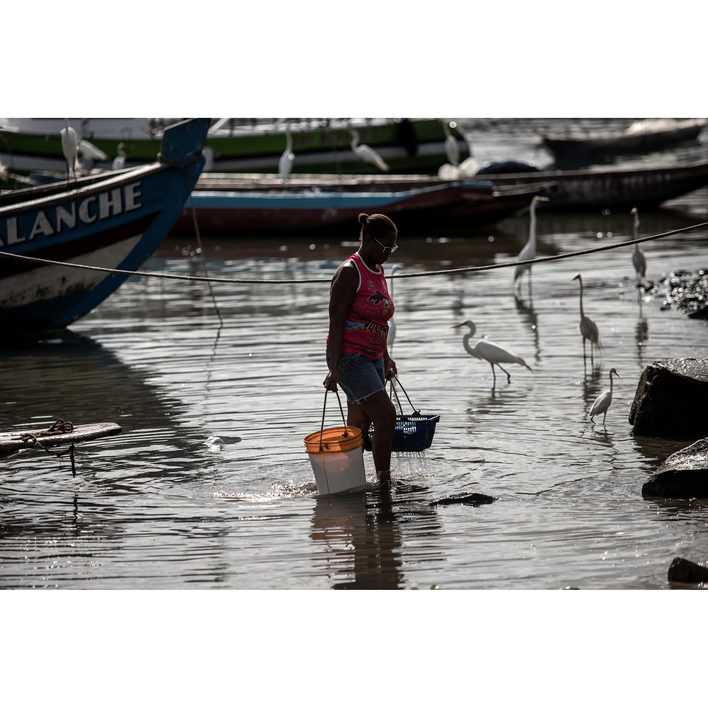 Imagem ilustrativa da imagem Porto das Sardinhas recebe toda Salvador em busca do peixe