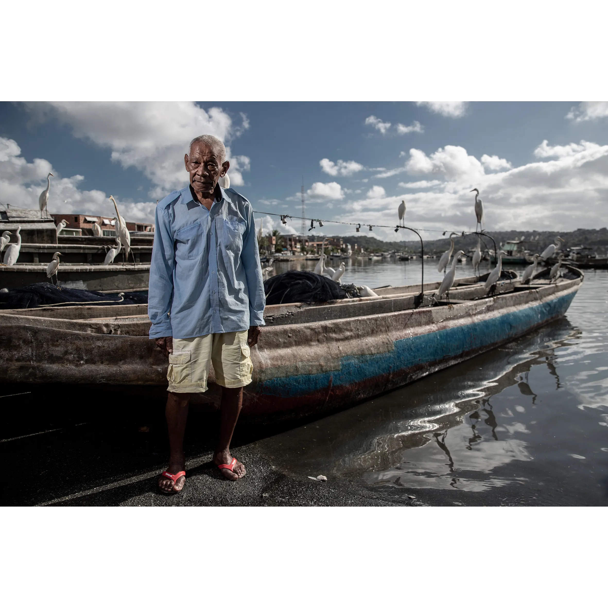 Imagem ilustrativa da imagem Porto das Sardinhas recebe toda Salvador em busca do peixe
