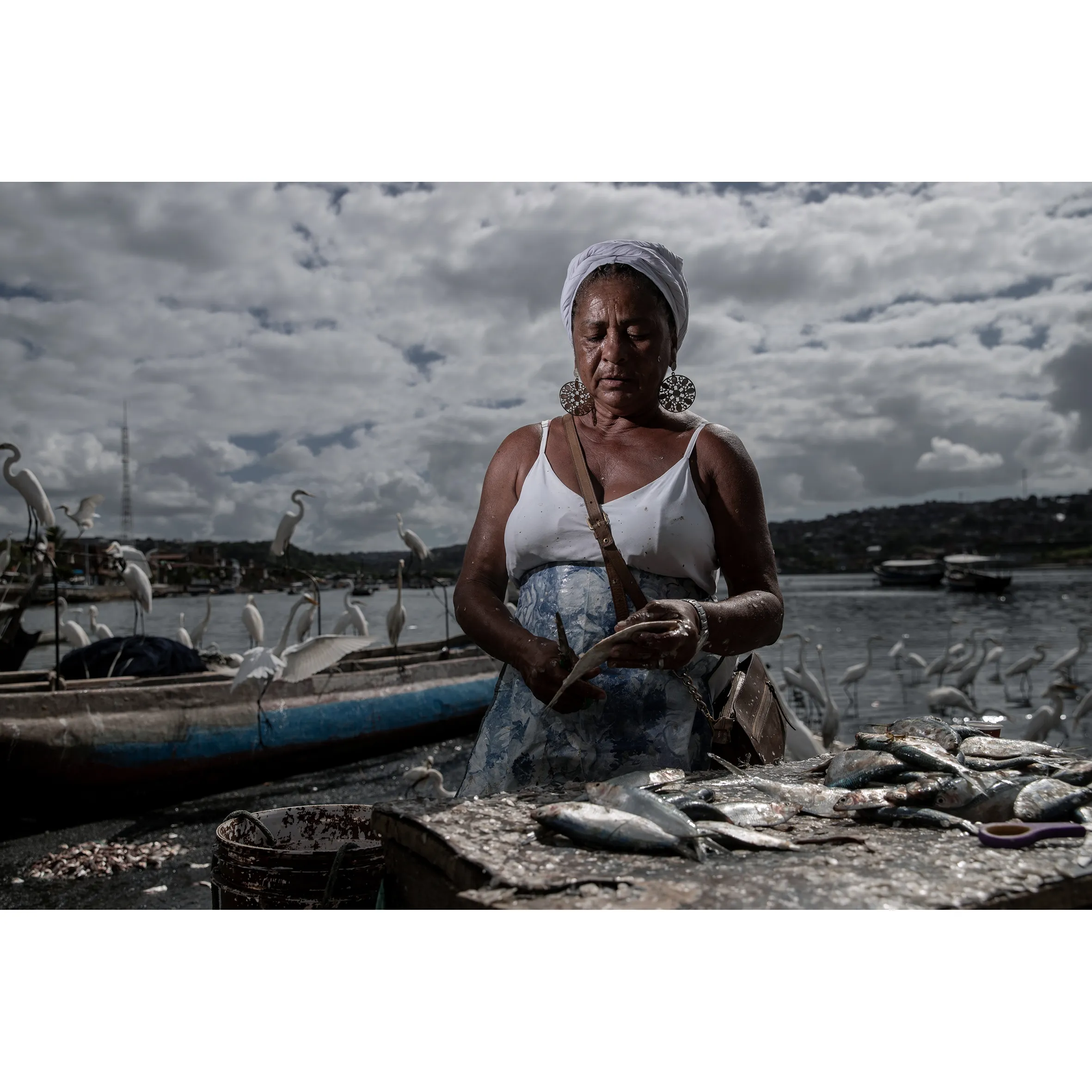 Imagem ilustrativa da imagem Porto das Sardinhas recebe toda Salvador em busca do peixe