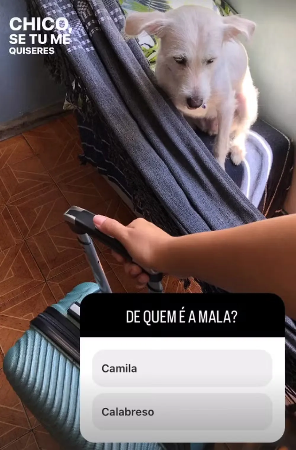 Camila Moura publicou foto de mala nas redes sociais