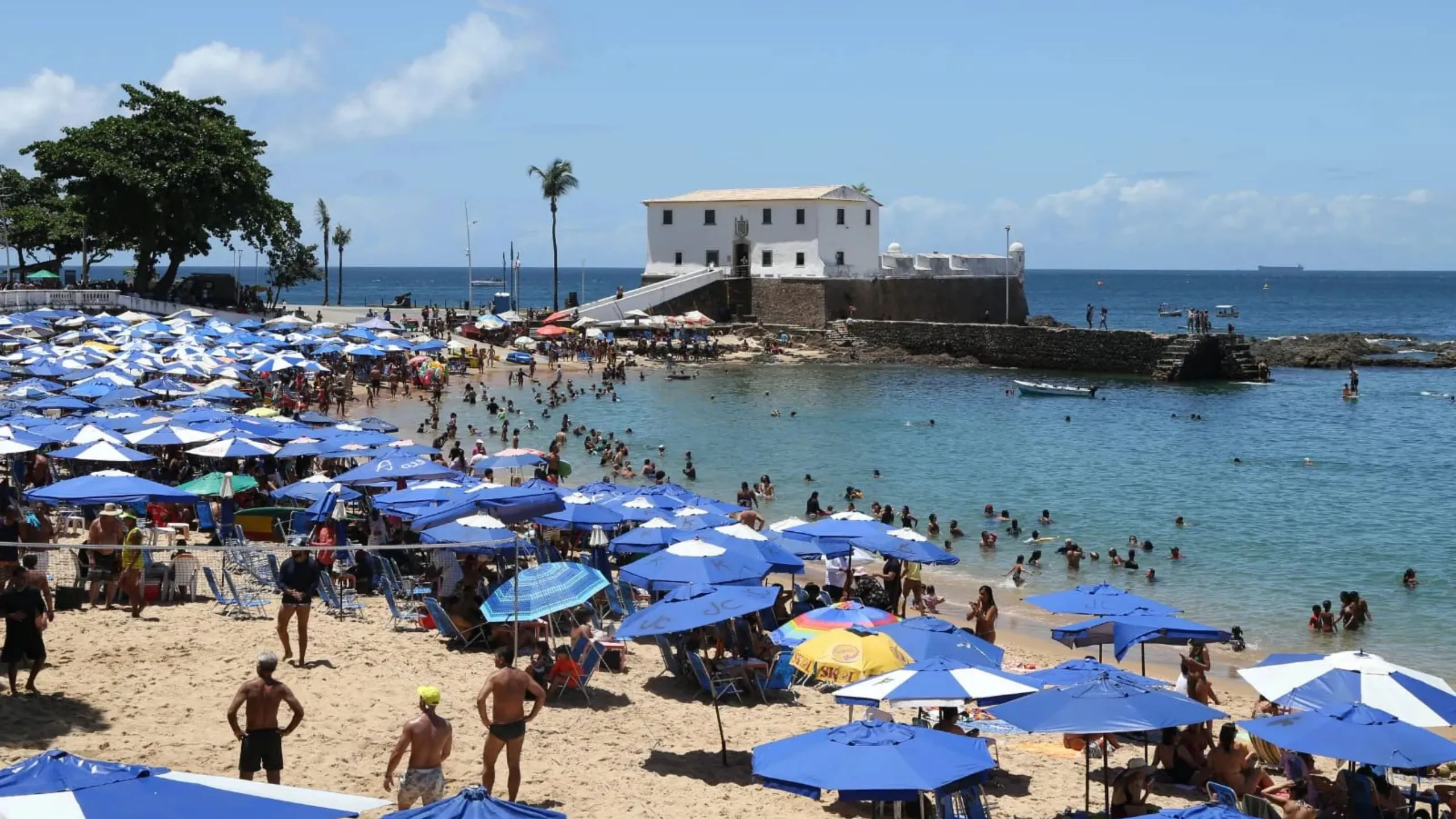 ONGs ambientalistas comentam sobre a PEC da "privatização das praias"