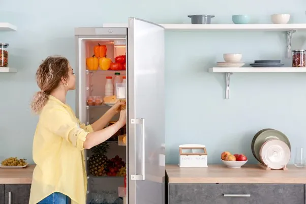 Geladeira com uma boa vedação evita desperdício de energia!